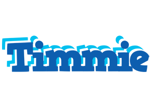 Timmie business logo