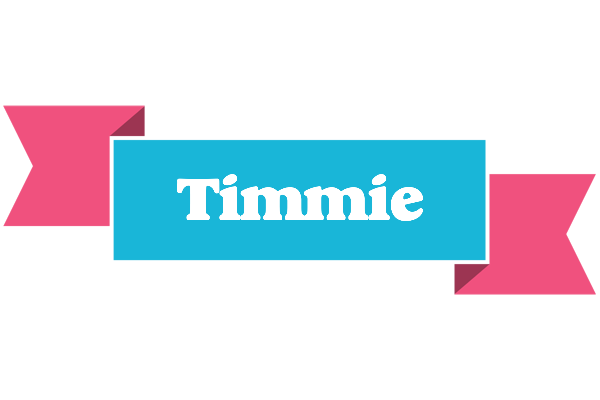 Timmie today logo