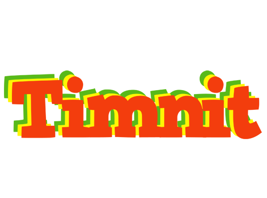 Timnit bbq logo