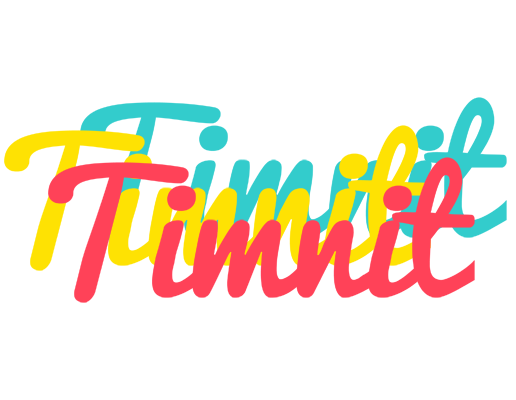 Timnit disco logo