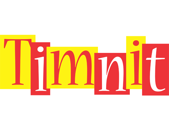 Timnit errors logo