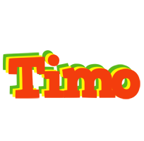 Timo bbq logo