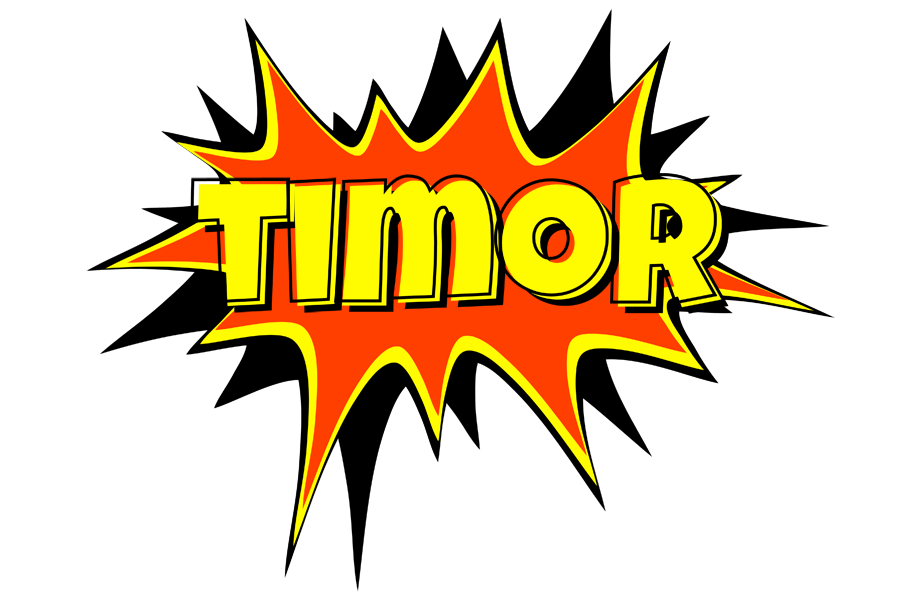 Timor bazinga logo