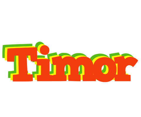 Timor bbq logo