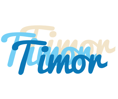 Timor breeze logo