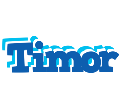 Timor business logo