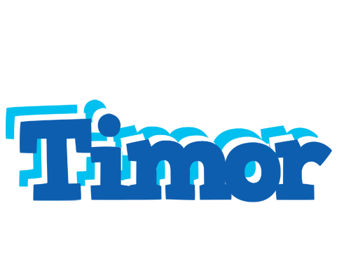 Timor business logo