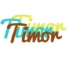 Timor cupcake logo