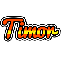 Timor madrid logo