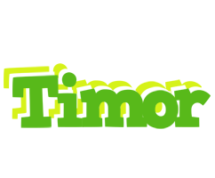 Timor picnic logo