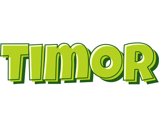 Timor summer logo