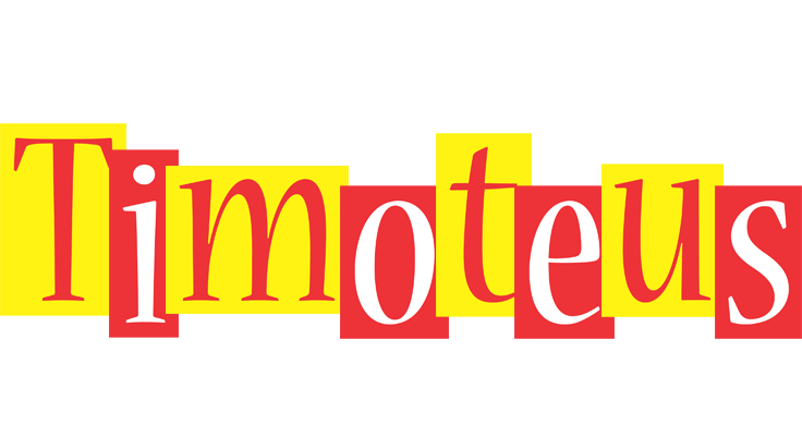 Timoteus errors logo