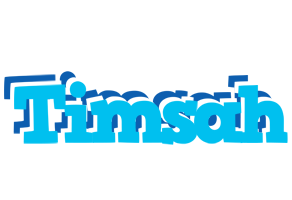 Timsah jacuzzi logo