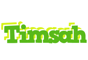 Timsah picnic logo