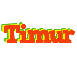 Timur bbq logo