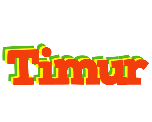 Timur bbq logo