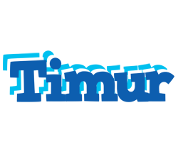 Timur business logo