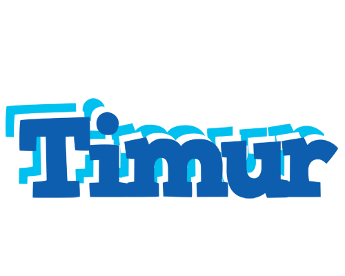 Timur business logo
