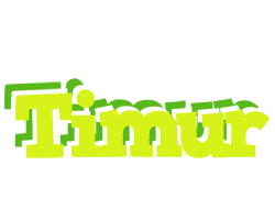 Timur citrus logo