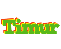 Timur crocodile logo