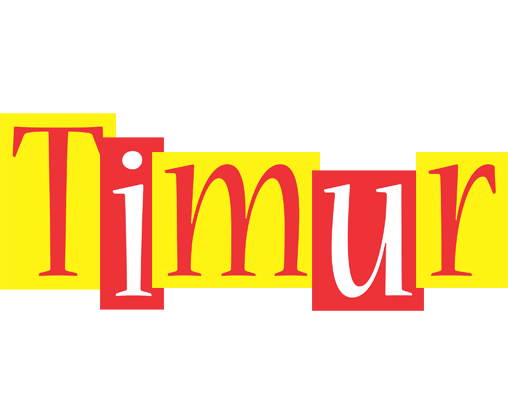 Timur errors logo