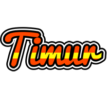 Timur madrid logo