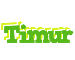 Timur picnic logo