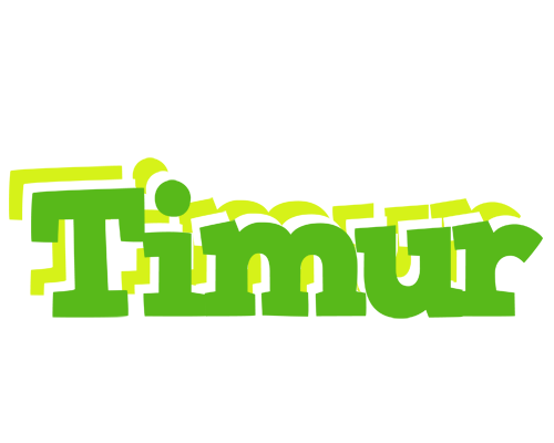 Timur picnic logo