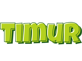 Timur summer logo