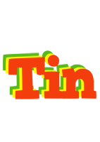 Tin bbq logo