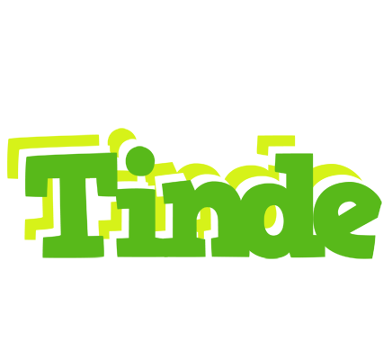 Tinde picnic logo