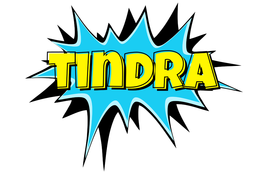 Tindra amazing logo