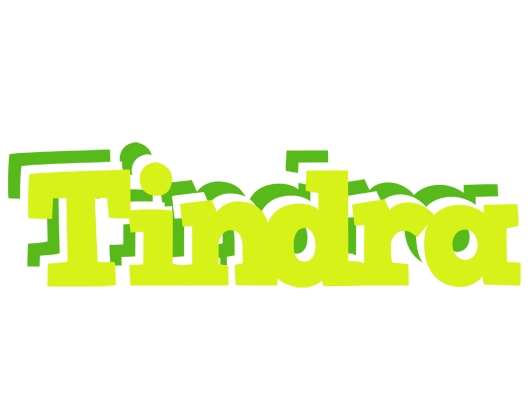 Tindra citrus logo