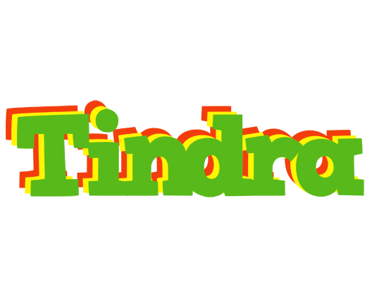 Tindra crocodile logo