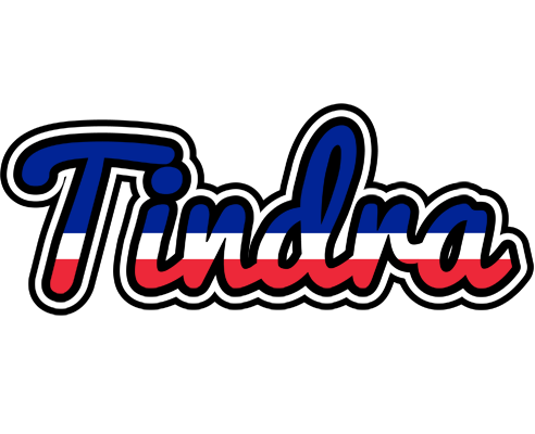Tindra france logo