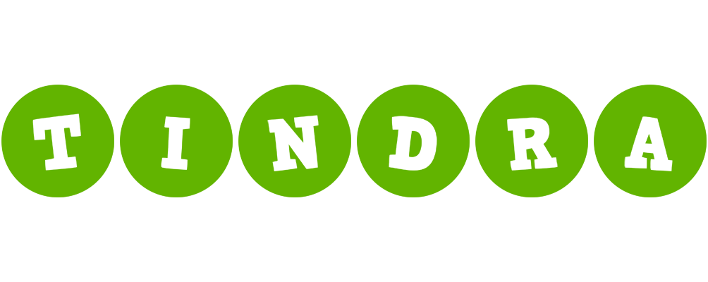 Tindra games logo