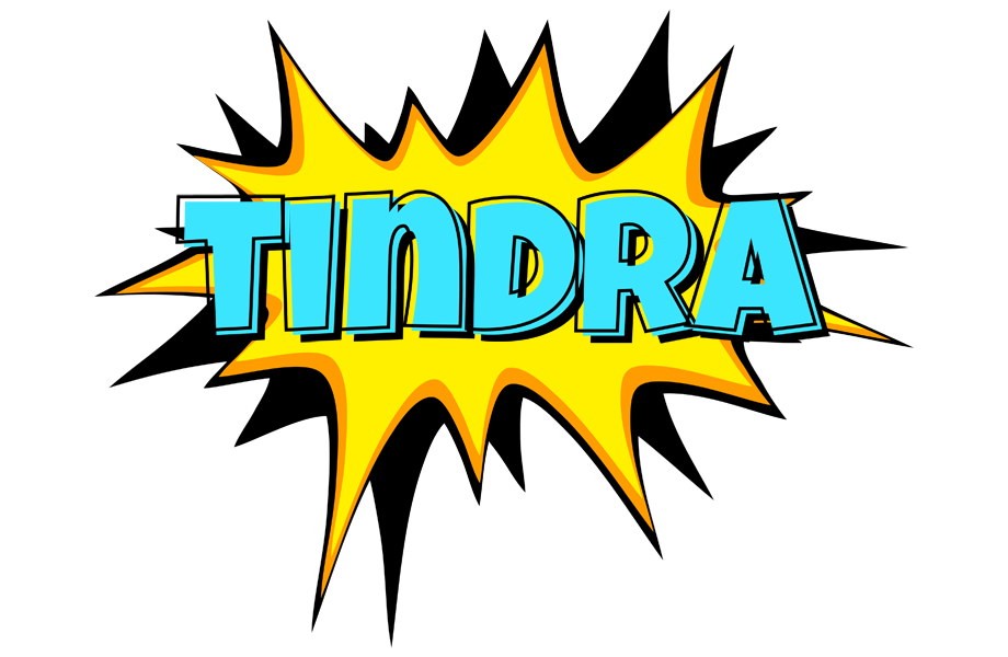 Tindra indycar logo