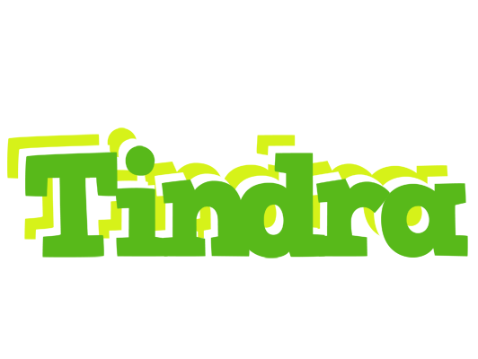 Tindra picnic logo