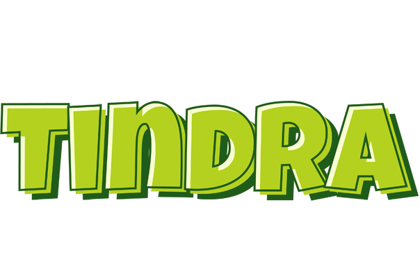 Tindra summer logo