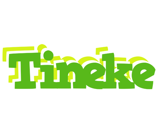 Tineke picnic logo