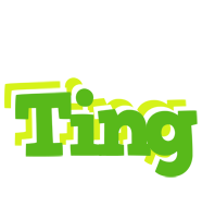 Ting picnic logo