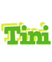 Tini picnic logo