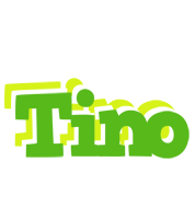 Tino picnic logo