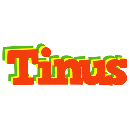 Tinus bbq logo