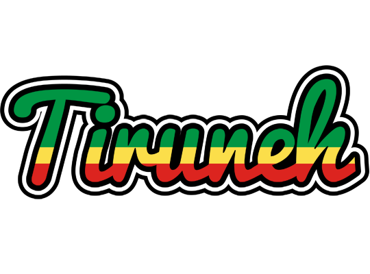 Tiruneh african logo
