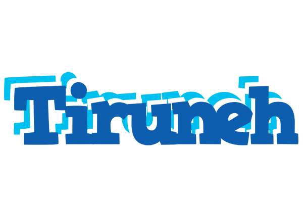 Tiruneh business logo