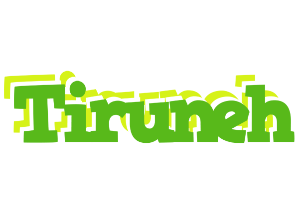 Tiruneh picnic logo
