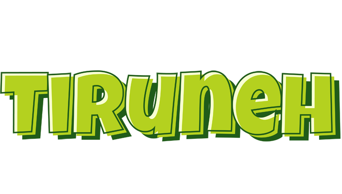 Tiruneh summer logo