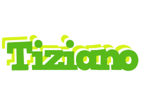 Tiziano picnic logo