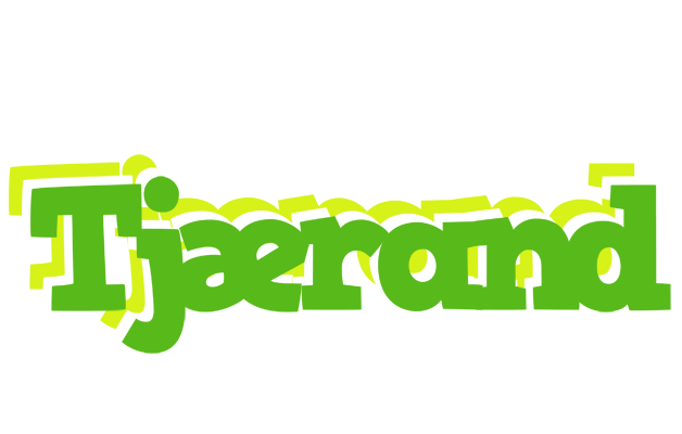 Tjærand picnic logo